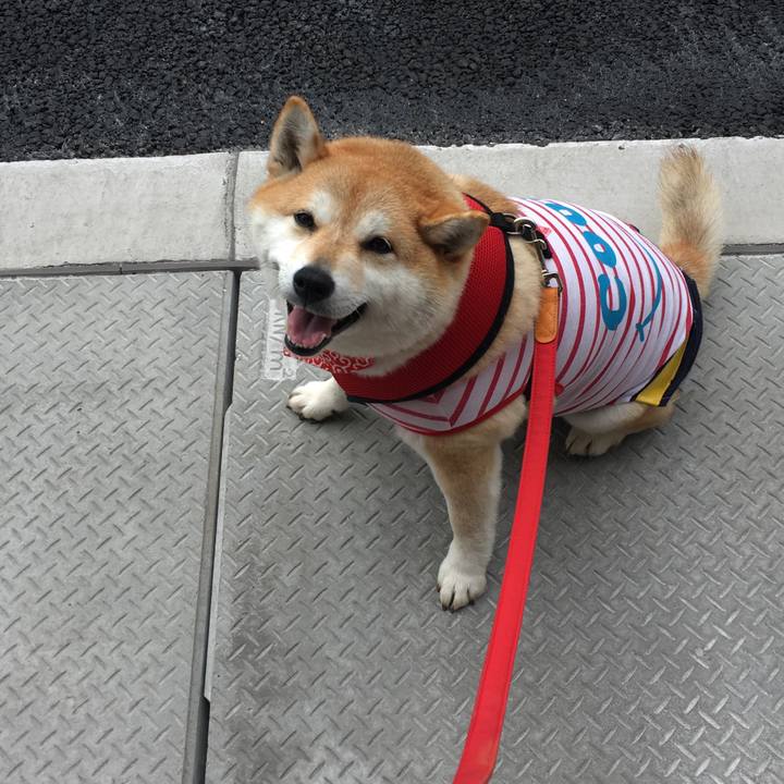 3804f449 f277 4e12 86ac 0a174641a3f3 1585286003582