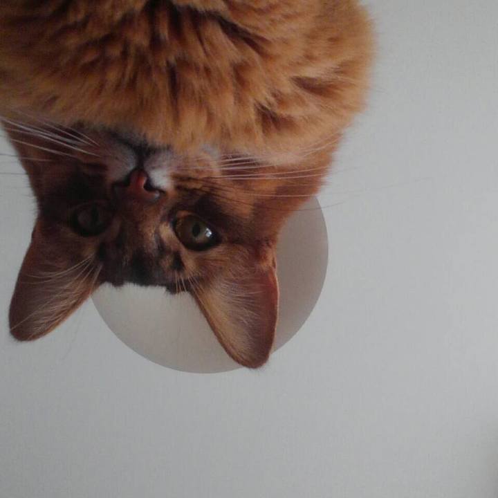 38051771 1000 4f96 b263 9d646a8fe86d 1617690677958