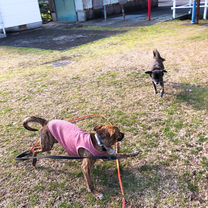 38052a44 7ac4 4827 864a 5927ca6d6fa6 1577077228963