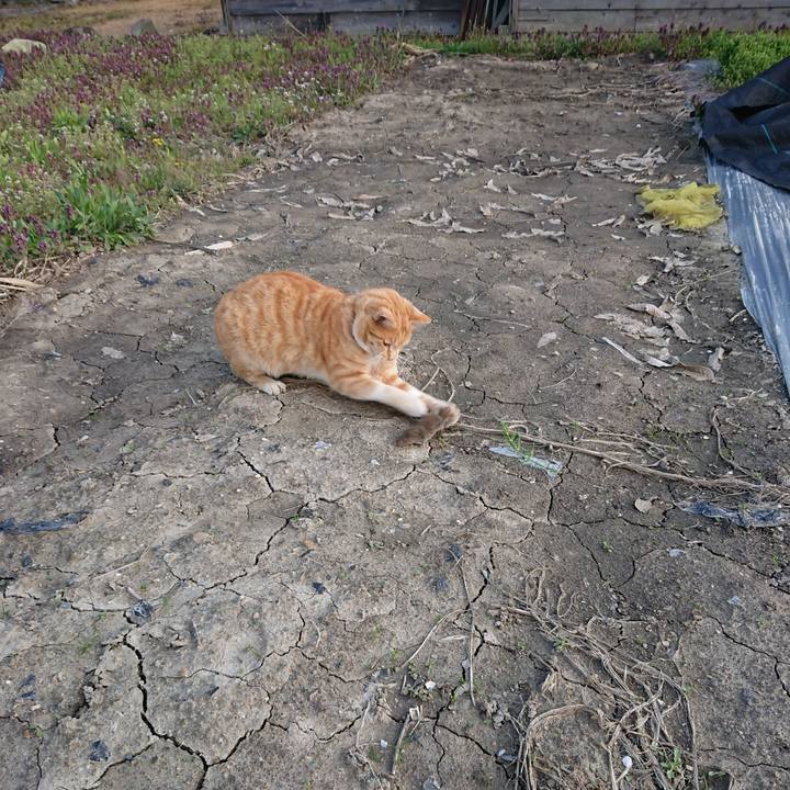 380540e0 3784 4d20 a85b afc9e94299c1 1588149515855