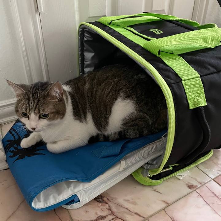 38057a2b 4fc7 4c4a b1de f9c00dfa2398 1735176082314