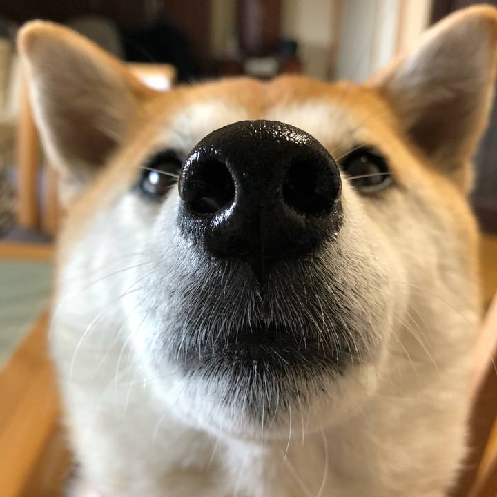 3805e243 9832 4176 b773 7be1a0e0169f 1523594963755