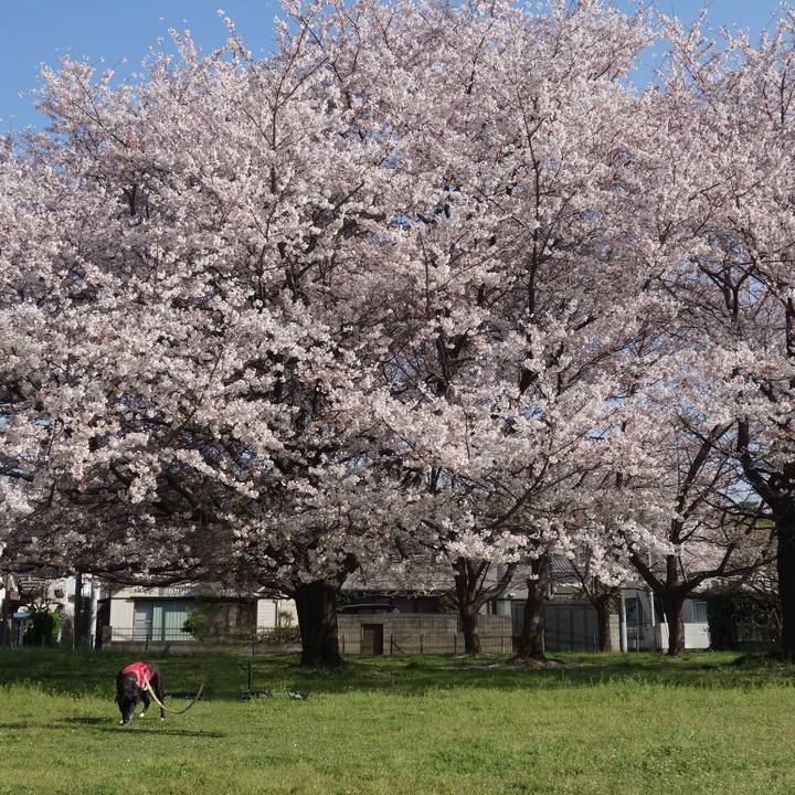 380605e5 f82b 41c3 9211 4786c1cb8306 1680313321524