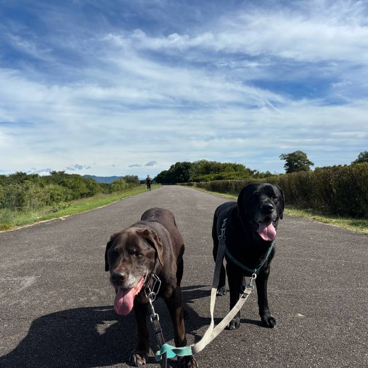 38060aff d2a1 4d1e 9c4c 855823790b48 1760613754262