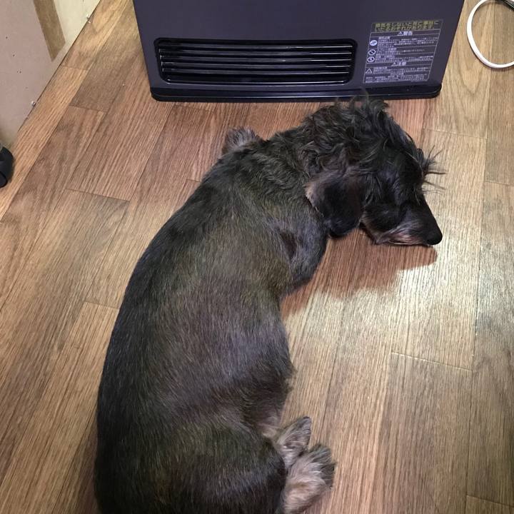 38062b14 4353 4f09 a425 71e64ce2c181 1544243181205