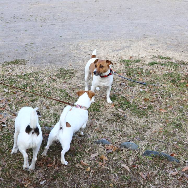 3806461f ac30 47e0 b20b eec778799776 1549176655219