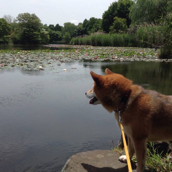 380651c5 5e40 4de3 b9e7 9d8684fd00d1 1527235189081