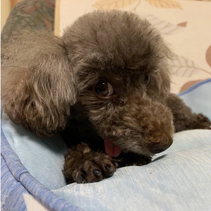 3806676c 5877 47fd 9cf7 34fd20bf50b5 1596056434024