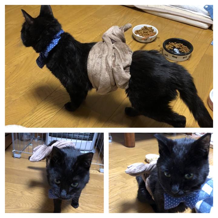 3806975d 7b32 42b7 8624 a171e124cf90 1556030256840