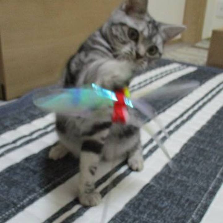 3806a362 8c45 4880 bc64 3a42c198626f 1538999477137