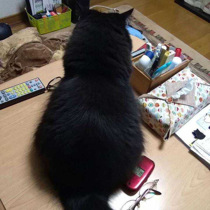 3806d761 92eb 45cb 8679 ecd7ee517cbc 1513901829008