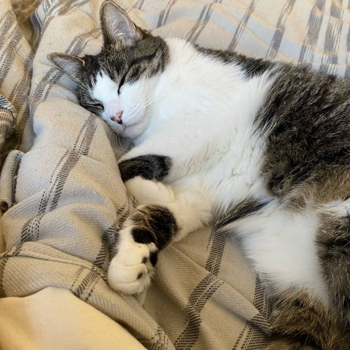 3806fc37 57f9 4c3a 8b9e 397f404f77fe 1592603418434