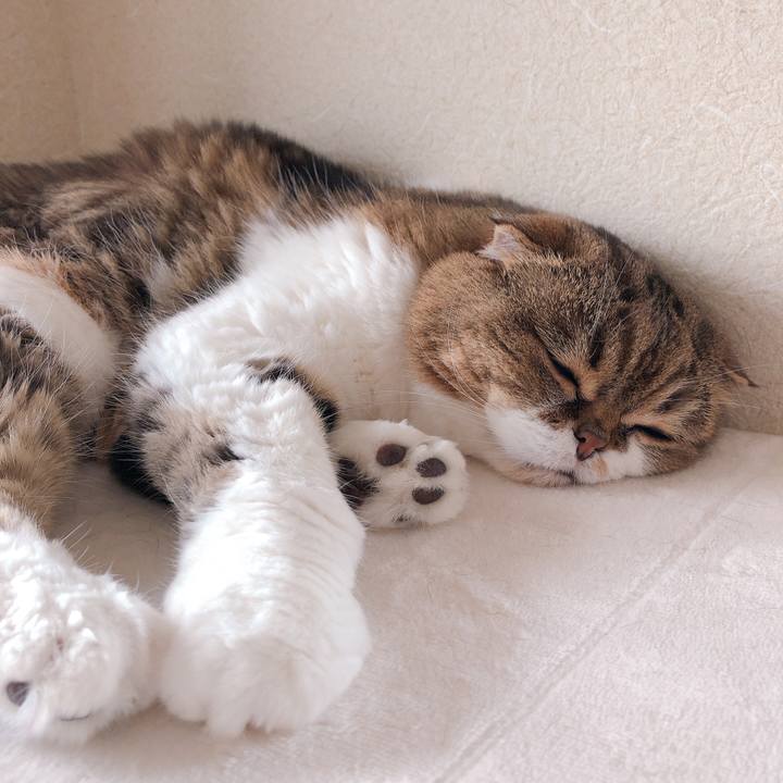 380705bf 74c7 47bd 9218 c0127a8000fc 1591165754505