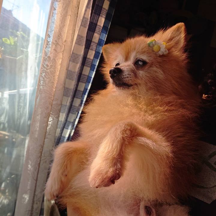 380712be 2bd7 4b79 82b4 4c4e53531e50 1599347511082