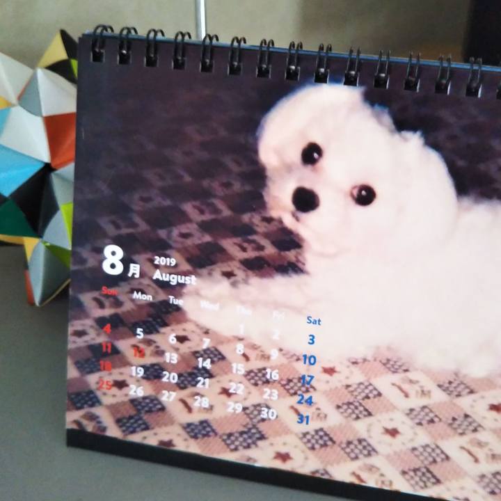 380744ea 37dd 42a6 ba57 3772a8f2046f 1564968099148