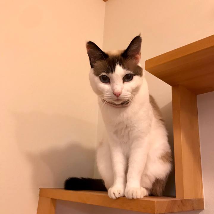 38077ef0 a858 4248 99b7 3517b1f09162 1542605685525