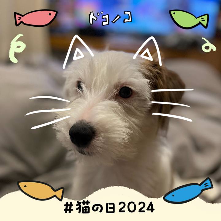 3807a77b 686a 4245 8330 d28c1ba9c298 1708560620867