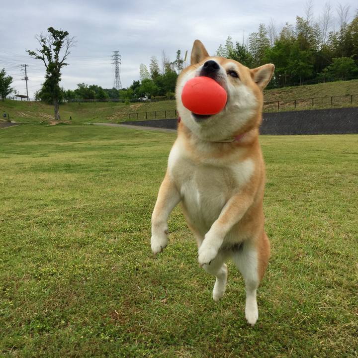 3807d0c2 3aa0 4d28 95df dd6ae94e70fc 1527739549877