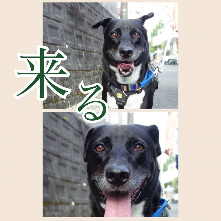 3807e9cb b7b4 4314 9d64 8dadd3ec3f97 1661733974167