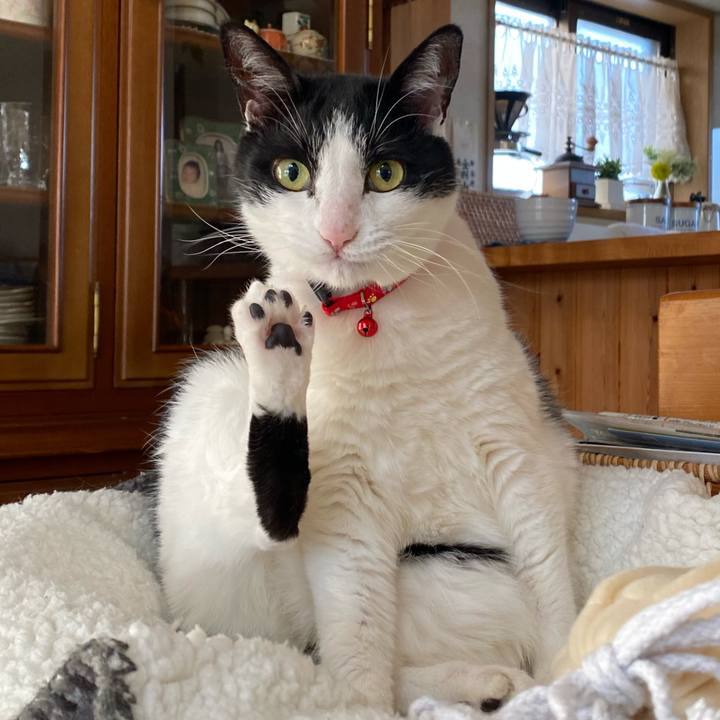 3807f0c1 ca86 4653 9843 2d8a9fda9e15 1641952211714