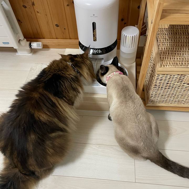 38080d93 0911 4901 9f53 b3188947e355 1715893827678