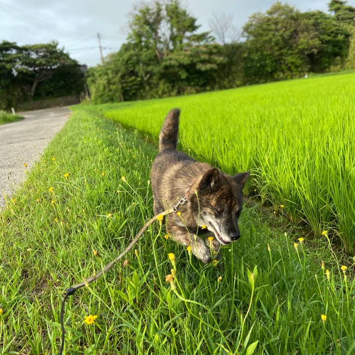 38081b28 246f 4ded 861c 77b8e5b9f6e5 1594285344041