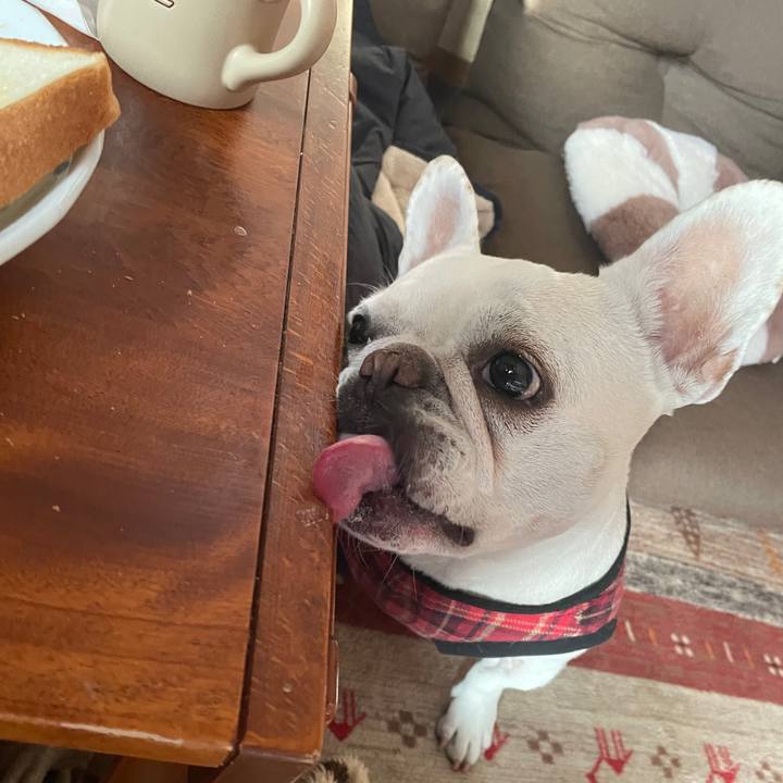 38082300 72cf 48ea 9548 bcd2bded8d51 1766703146535