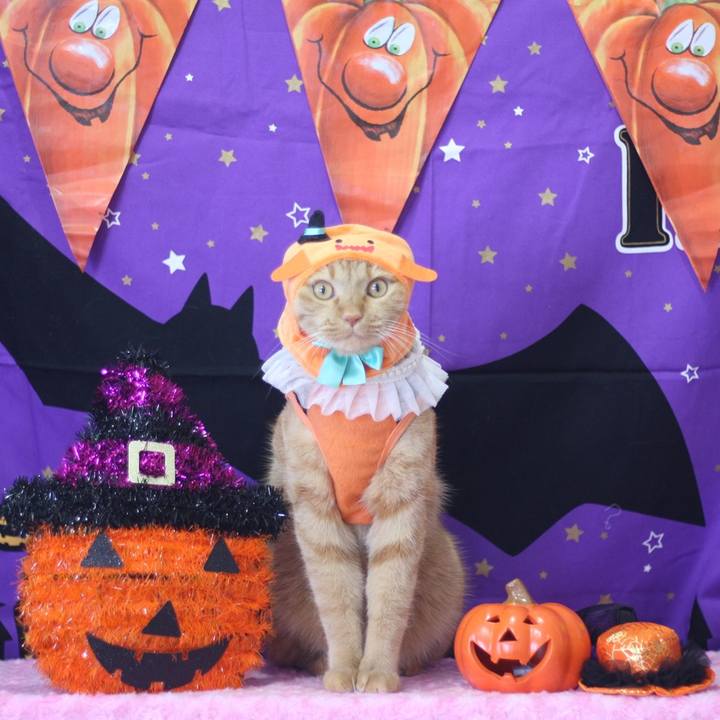 38082f0b 5e7d 4ed8 8af1 c71e47e83fb1 1666166367504