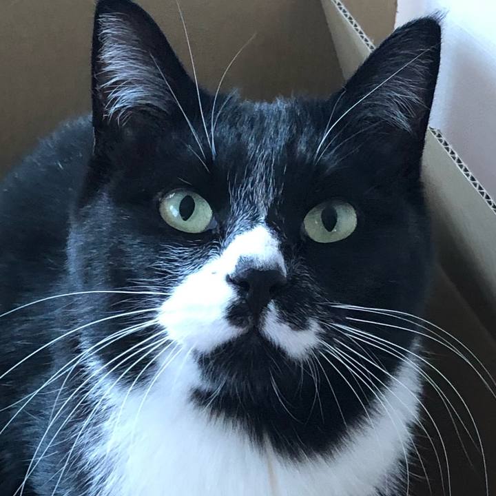 38085cfc 601c 4250 8c25 9d88381dde37 1611980919614