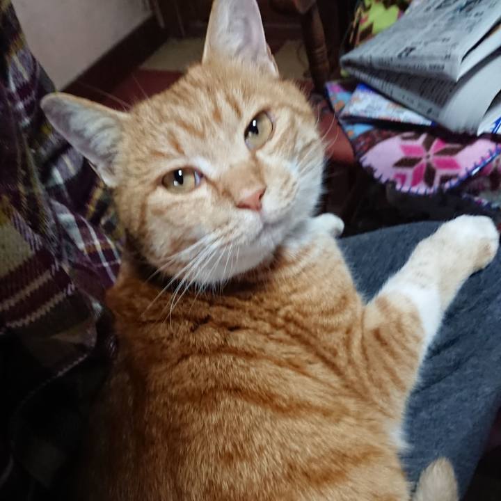 38089e5e c2aa 42f6 a2d3 eb9603ea7b9e 1576882258942