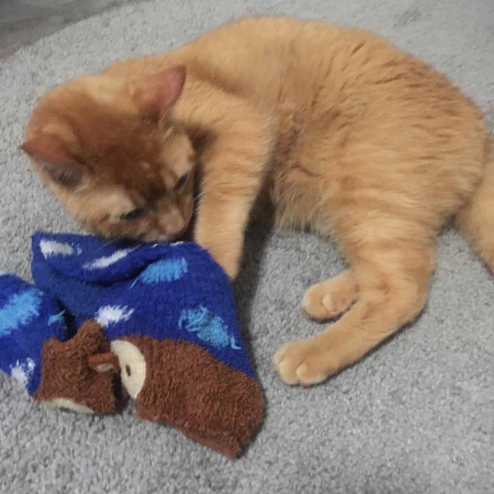 3808d148 c60f 4b48 8eb8 f0ecc815467f 1651273774450