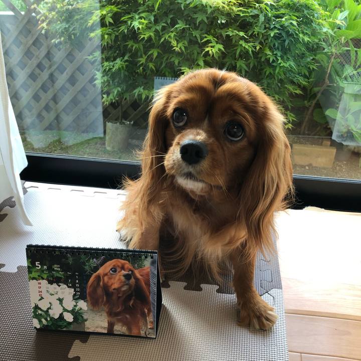 3808d1a5 9dfb 44f1 a4f5 25576ec86611 1588283597941