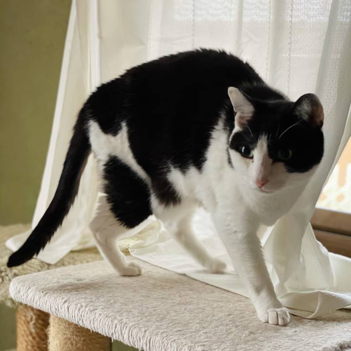 380910ea 8edc 4ece 8b8e 02d7b53c4da2 1625193770660