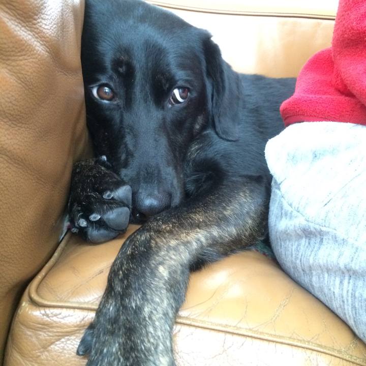 380938ad 5b57 4e41 85b6 5f1d5e1ed781 1509239241901