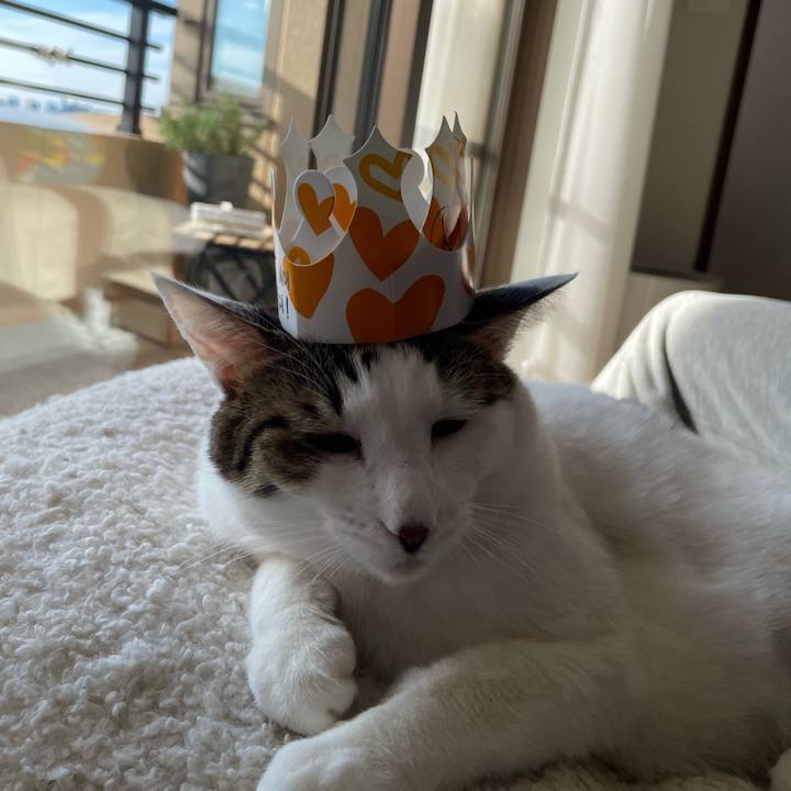 3809d928 670c 456c 8e22 e7d97aba6dbc 1767417762985