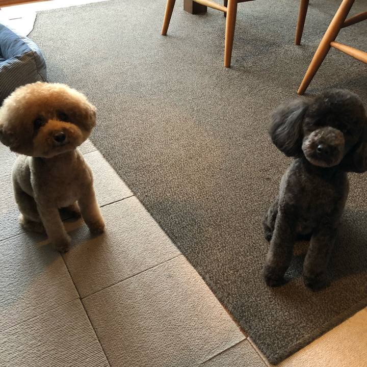 3809e637 b08e 4535 aac4 17ad6087cf6c 1593773713304