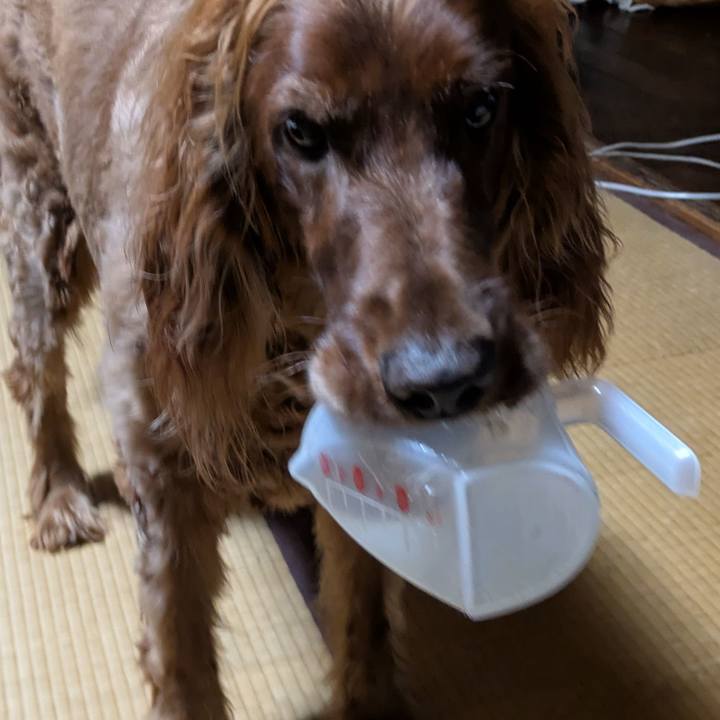 3809ecf7 1ba3 4796 9847 73339ab42b5e 1758190854159