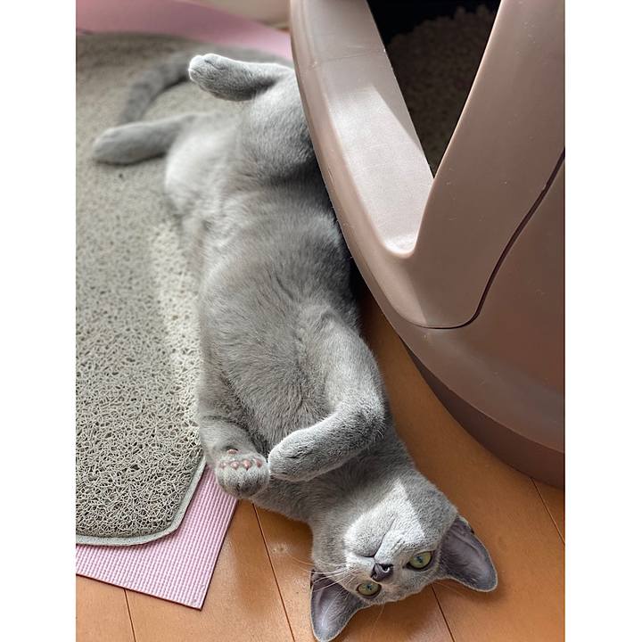 380a195d 5ae7 446f b037 c48bbc897029 1608175355859