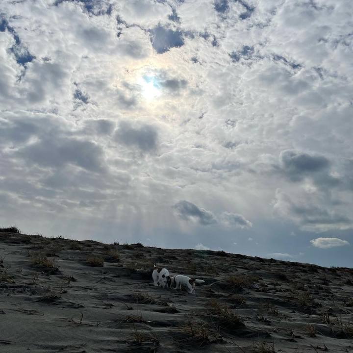 380a3666 bb2b 442b b5e8 7bd94a0fce38 1643177326614