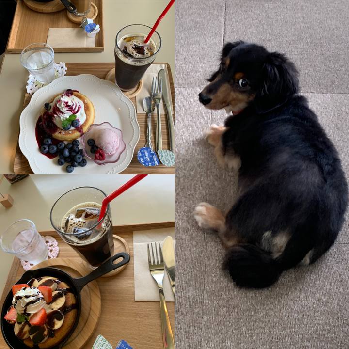 380a4157 83e0 4676 8f30 c1e6828fe49d 1596330873996