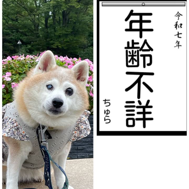 380a4846 52fd 4b5f b8b3 e9deeef3eb32 1735991734768