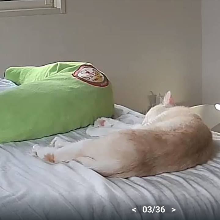 380a5bf1 571d 4d8c 8ec5 bd7cdf025465 1726130407572