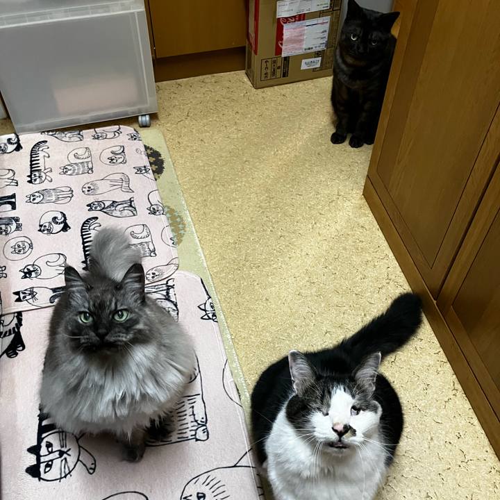 380a7689 e8cc 4189 adc5 bb758972cef3 1734048416465