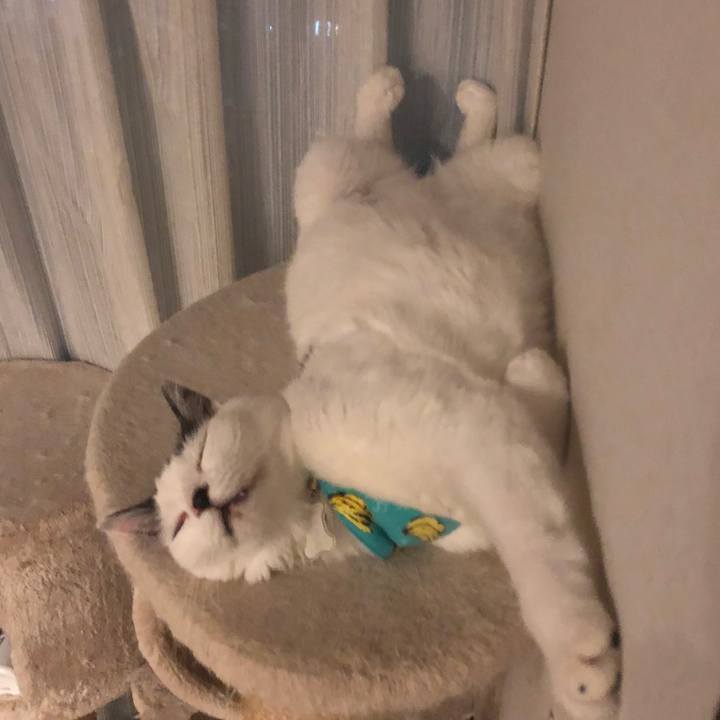 380a822a 5a21 4887 97d6 7caf602e3dd8 1533130300528