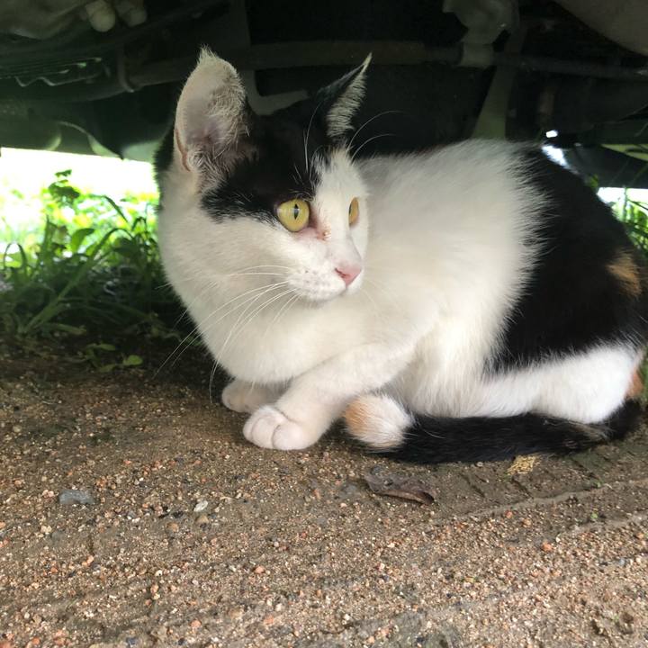 380a87b0 6b97 4a91 83e7 2d0522f11d46 1631311698485