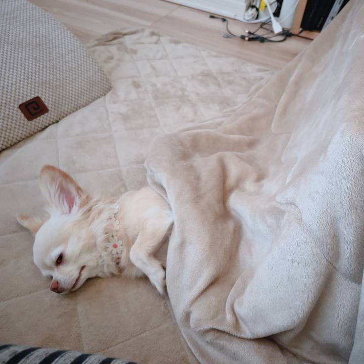 380a993c 0398 4c85 bda4 4ffd8db0d7d2 1764332510287