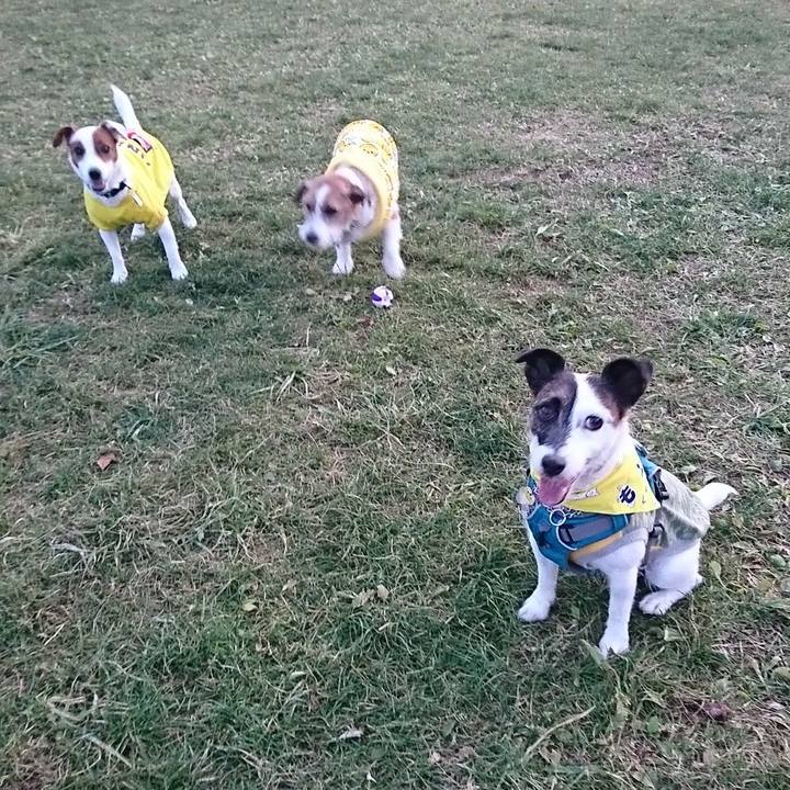 380ac137 6804 4271 bb77 36e8718c72fa 1573390387518