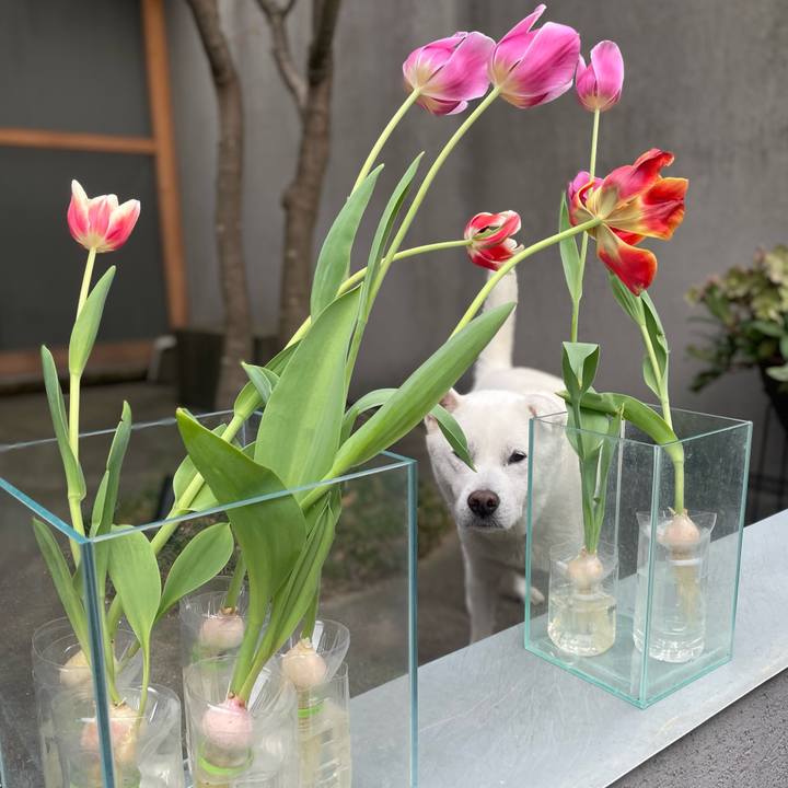 380ad862 927f 4474 a2d6 3f23fe451c1e 1743235412229