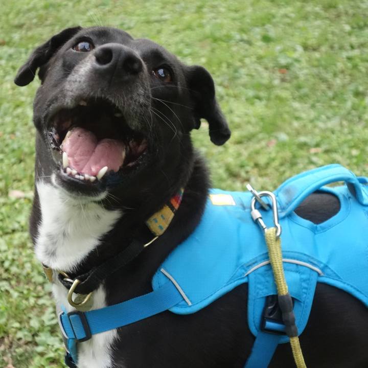 380af4ea 0153 4847 a81c 7da89b9f9e78 1605143766170