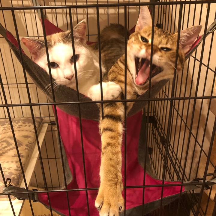 380b2bf5 1c9d 4590 893b 1de2d26f4bb7 1570571952566